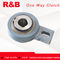 R &amp; B распылитель свободное колесо заднего сцепления RSBW90/GVG90 применяется в зерно подъемник или рыболовные сети машины